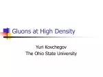 Gluons at High Density - slide 1