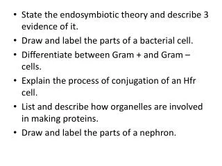 State the endosymbiotic theory and describe 3 evidence of it.