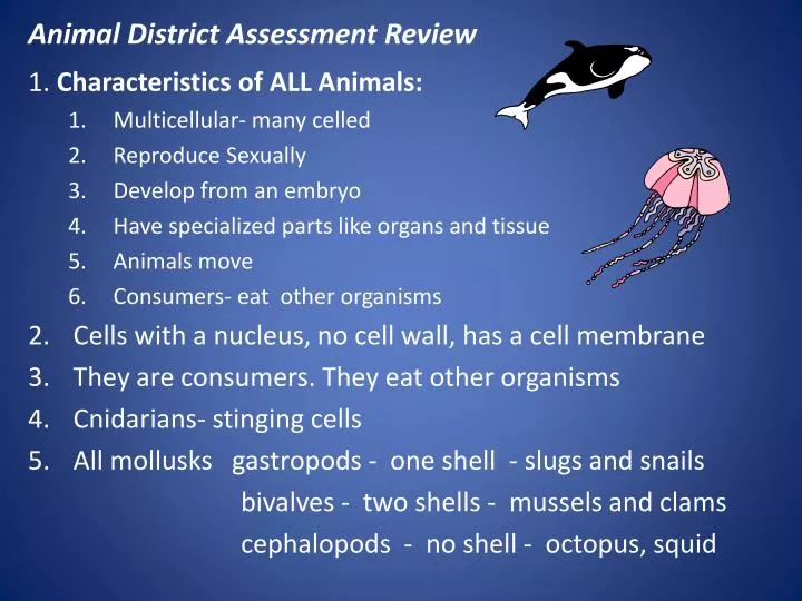 animal district assessment review