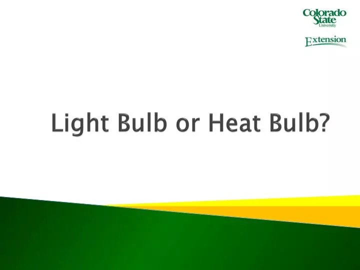 light bulb or heat bulb