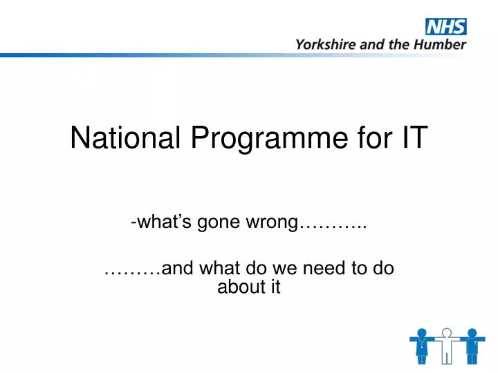 national programme for it