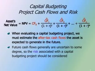 Capital Budgeting Project Cash Flows and Risk