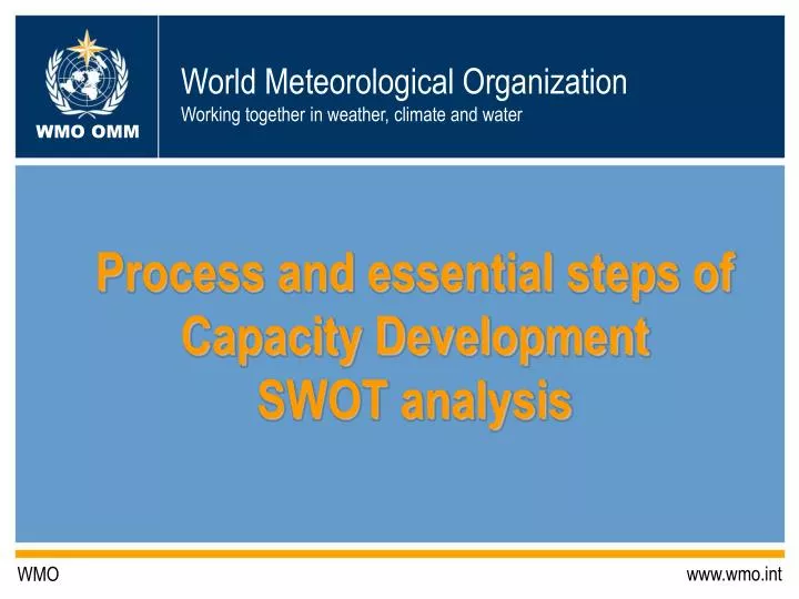 process and essential steps of capacity development swot analysis