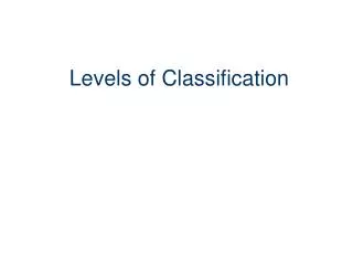 levels of classification