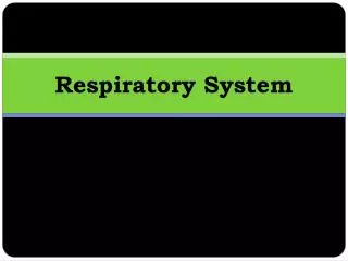 Respiratory System