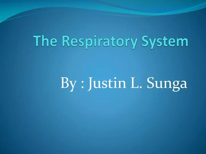 the respiratory system