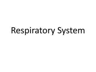 Respiratory System