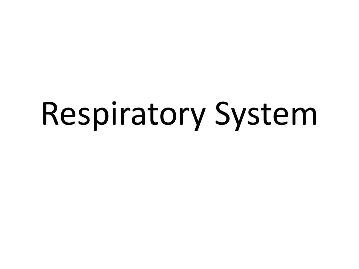 respiratory system