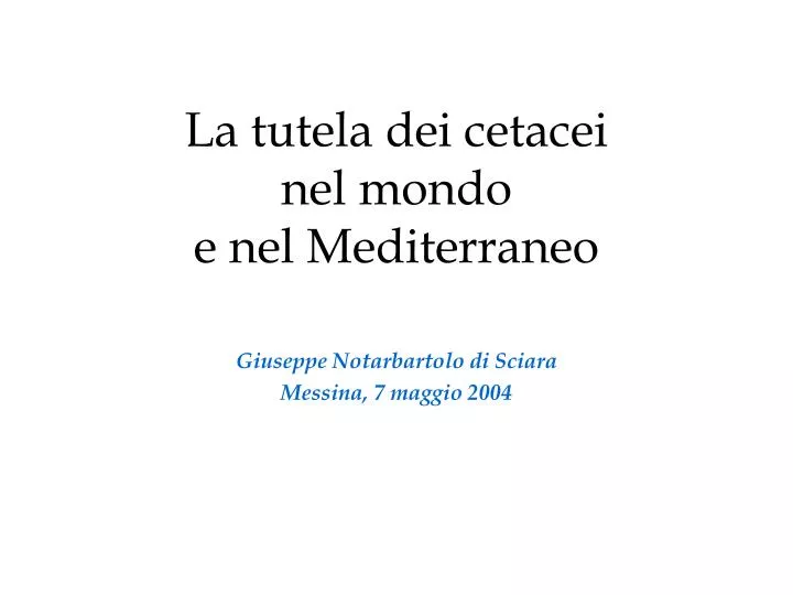 la tutela dei cetacei nel mondo e nel mediterraneo