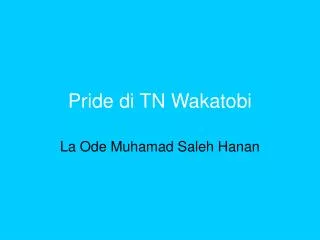 pride di tn wakatobi