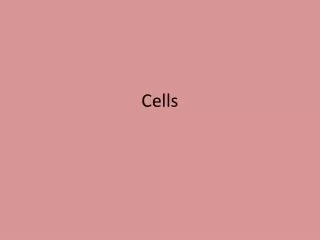 Cells