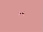 Cells - slide 1