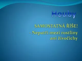 houby