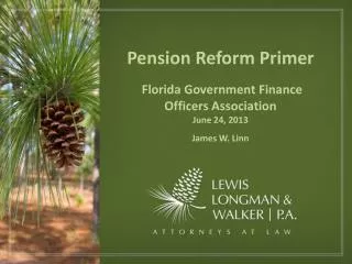 Pension Reform Primer Florida Government Finance Officers Association June 24, 2013 James W. Linn