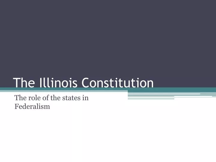 the illinois constitution
