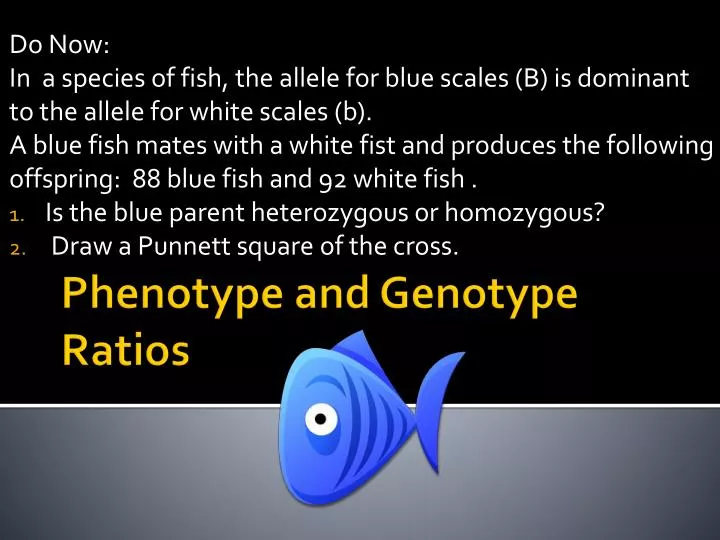 phenotype and genotype ratios