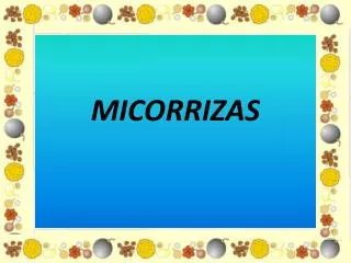 MICORRIZAS