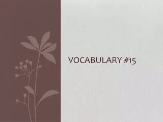 Vocabulary #15