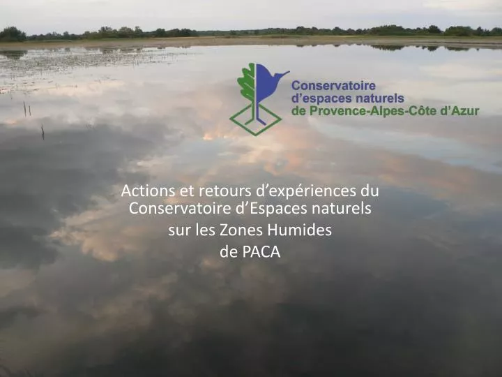 actions et retours d exp riences du conservatoire d espaces naturels sur les zones humides de paca