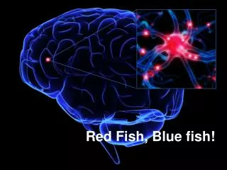 Red Fish, Blue fish!