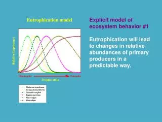 Explicit model of ecosystem behavior #1