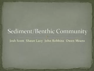 Sediment/Benthic Community