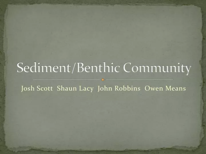 sediment benthic community