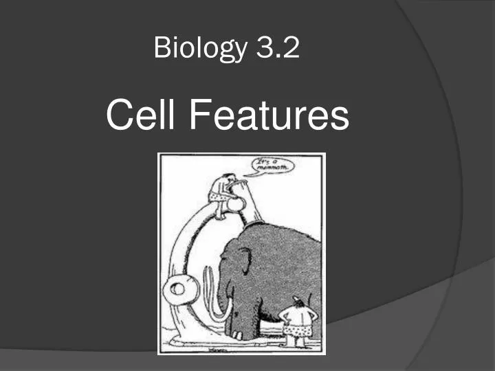 biology 3 2
