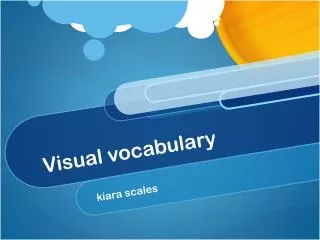 Visual vocabulary