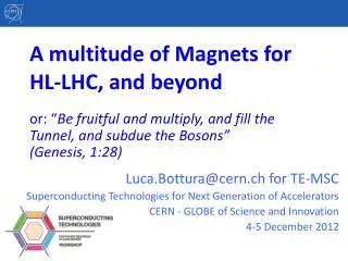 A multitude of Magnets for HL-LHC, and beyond