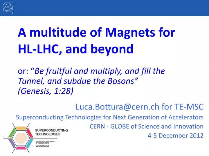 a multitude of magnets for hl lhc and beyond