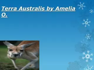 Terra Australis by Amelia O.