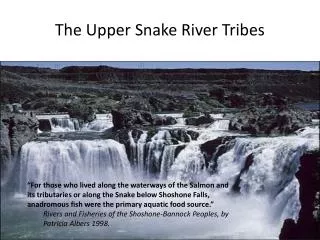 The Upper Snake River Tribes