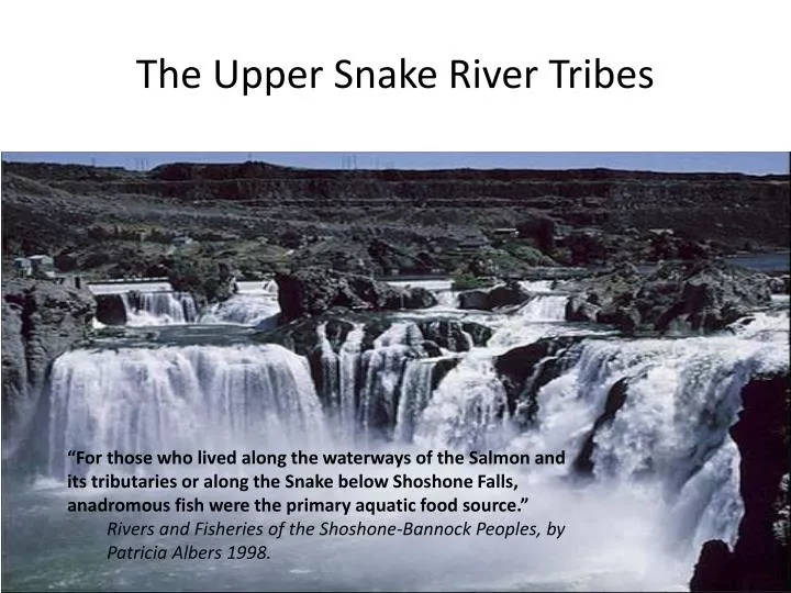 the upper snake river tribes