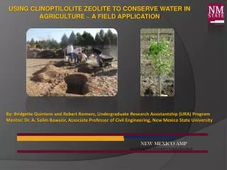 Using Clinoptilolite Zeolite to Conserve Water in Agriculture ~ A Field Application