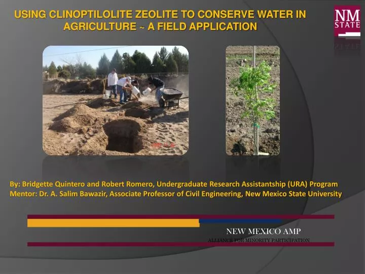 using clinoptilolite zeolite to conserve water in agriculture a field application