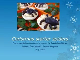 Christmas starter spiders