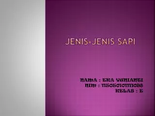 jenis jenis sapi