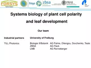 Systems biology of plant cell polarity and leaf development
