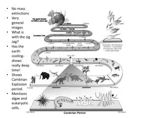 No mass extinctions Very general images What is with the zig zag ?