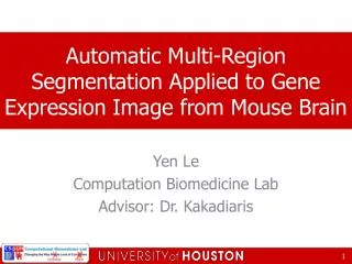 Yen Le Computation Biomedicine Lab Advisor: Dr. Kakadiaris