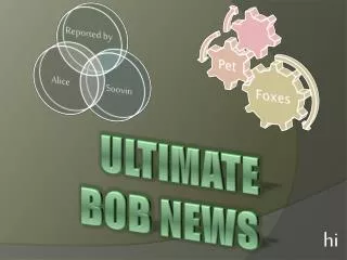 ULtIMATE BOB NEWS