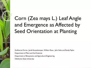 Corn (Zea mays L.) Leaf Angle and Emergence as Affected by Seed Orientation at Planting