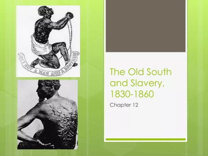 the old south and slavery 1830 1860