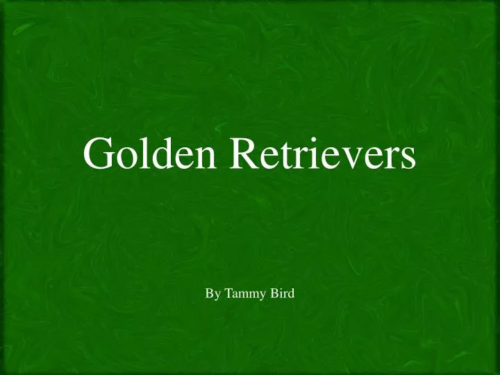 golden retrievers by tammy bird