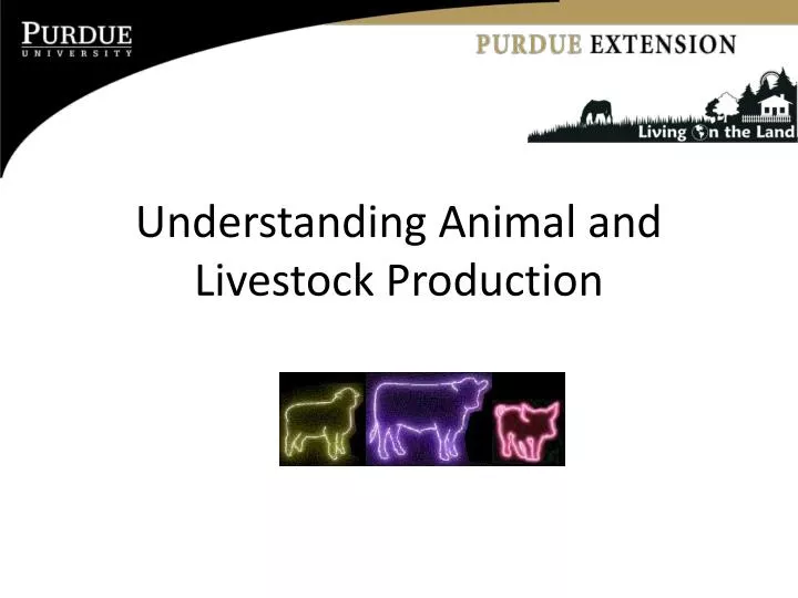 understanding animal and livestock production