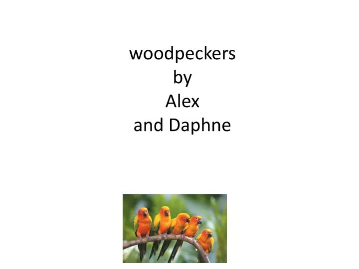 woodpeckers by alex and daphne