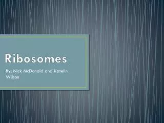 Ribosomes