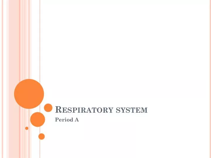 respiratory system