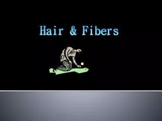 Hair &amp; Fibers